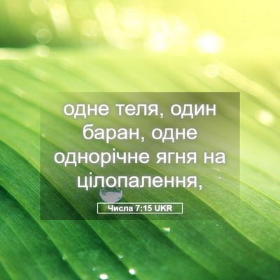 Picture 05 - Числа 7:15 UKR - одне теля, один баран, одне - Bible Verse Picture