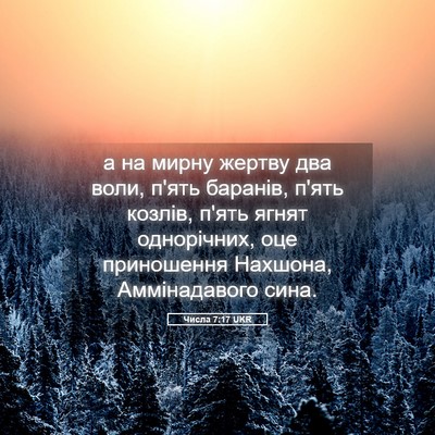 Picture 05 - Числа 7:17 UKR - а на мирну жертву два воли, - Bible Verse Picture