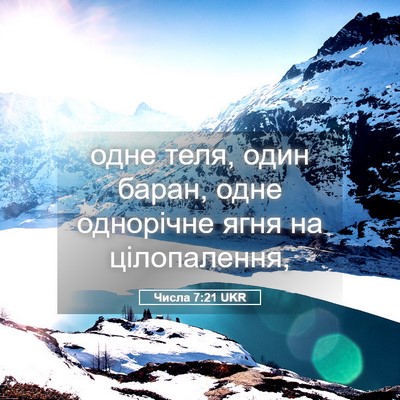 Picture 05 - Числа 7:21 UKR - одне теля, один баран, одне - Bible Verse Picture
