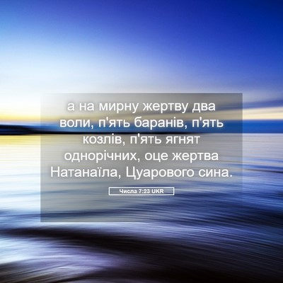 Picture 05 - Числа 7:23 UKR - а на мирну жертву два воли, - Bible Verse Picture