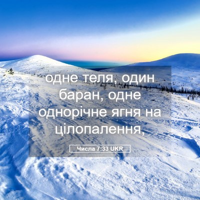 Picture 05 - Числа 7:33 UKR - одне теля, один баран, одне - Bible Verse Picture