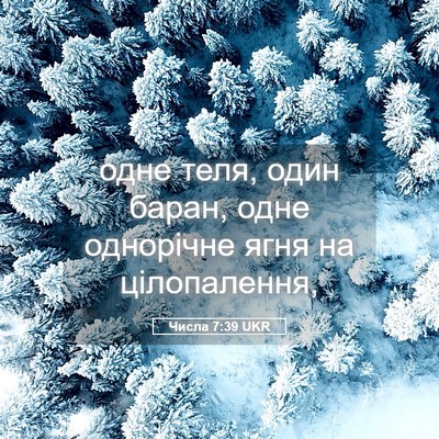 Picture 05 - Числа 7:39 UKR - одне теля, один баран, одне - Bible Verse Picture