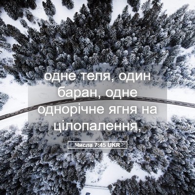 Picture 05 - Числа 7:45 UKR - одне теля, один баран, одне - Bible Verse Picture