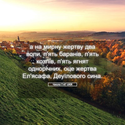 Picture 05 - Числа 7:47 UKR - а на мирну жертву два воли, - Bible Verse Picture