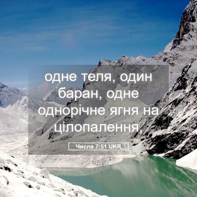 Picture 05 - Числа 7:51 UKR - одне теля, один баран, одне - Bible Verse Picture