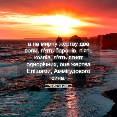 Picture 05 - Числа 7:53 UKR - а на мирну жертву два воли, - Bible Verse Picture