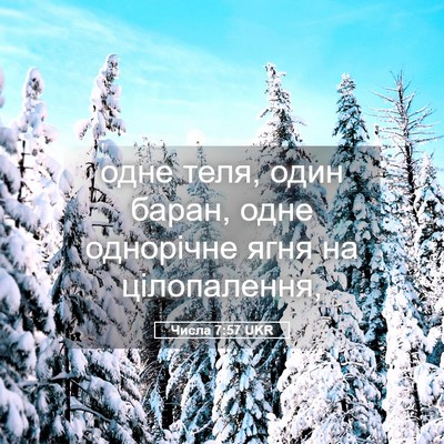 Picture 05 - Числа 7:57 UKR - одне теля, один баран, одне - Bible Verse Picture