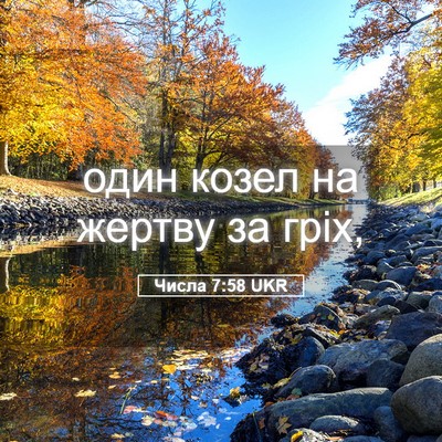 Picture 05 - Числа 7:58 UKR - один козел на жертву за - Bible Verse Picture