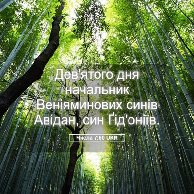 Picture 05 - Числа 7:60 UKR - Дев'ятого дня начальник - Bible Verse Picture