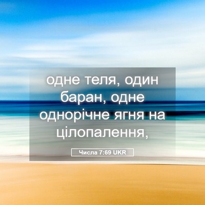 Picture 05 - Числа 7:69 UKR - одне теля, один баран, одне - Bible Verse Picture