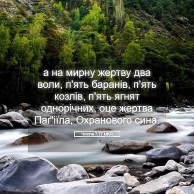 Picture 05 - Числа 7:77 UKR - а на мирну жертву два воли, - Bible Verse Picture