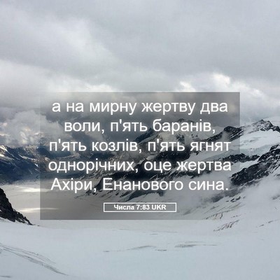 Picture 05 - Числа 7:83 UKR - а на мирну жертву два воли, - Bible Verse Picture