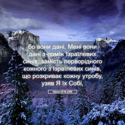 Picture 05 - Числа 8:16 UKR - бо вони дані, Мені вони - Bible Verse Picture