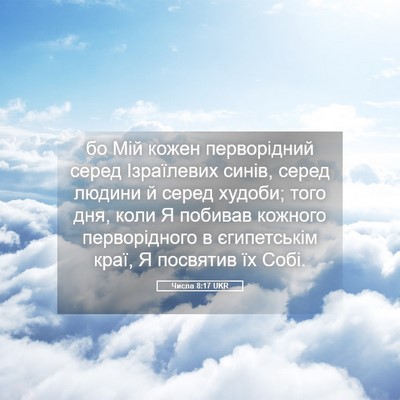 Picture 05 - Числа 8:17 UKR - бо Мій кожен перворідний - Bible Verse Picture
