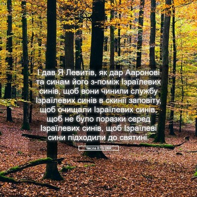 Picture 05 - Числа 8:19 UKR - І дав Я Левитів, як дар - Bible Verse Picture