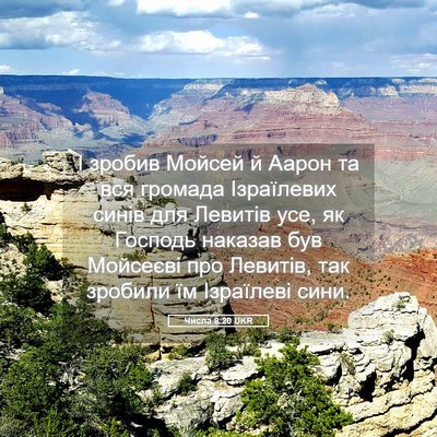 Picture 05 - Числа 8:20 UKR - І зробив Мойсей й Аарон та - Bible Verse Picture