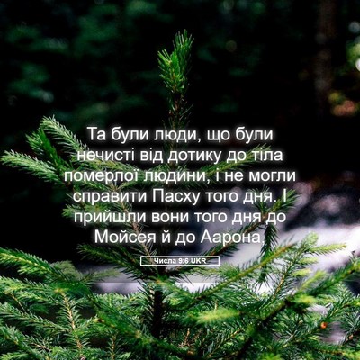 Picture 05 - Числа 9:6 UKR - Та були люди, що були - Bible Verse Picture