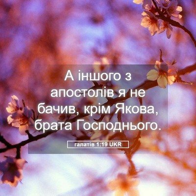 Picture 05 - галатів 1:19 UKR - А іншого з апостолів я не - Bible Verse Picture