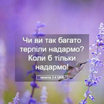 Picture 05 - галатів 3:4 UKR - Чи ви так багато терпіли - Bible Verse Picture