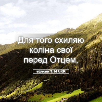 Picture 05 - ефесян 3:14 UKR - Для того схиляю коліна - Bible Verse Picture