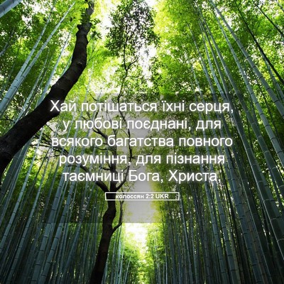 Picture 05 - колоссян 2:2 UKR - Хай потішаться їхні серця, - Bible Verse Picture