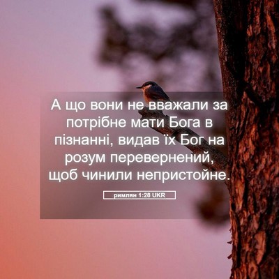 Picture 05 - римлян 1:28 UKR - А що вони не вважали за - Bible Verse Picture