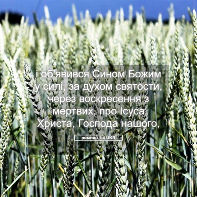 Picture 05 - римлян 1:4 UKR - і об'явився Сином Божим у - Bible Verse Picture