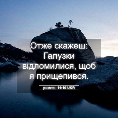 Picture 05 - римлян 11:19 UKR - Отже скажеш: Галузки - Bible Verse Picture