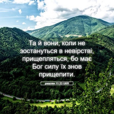 Picture 05 - римлян 11:23 UKR - Та й вони, коли не - Bible Verse Picture
