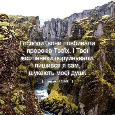 Picture 05 - римлян 11:3 UKR - Господи, вони повбивали - Bible Verse Picture