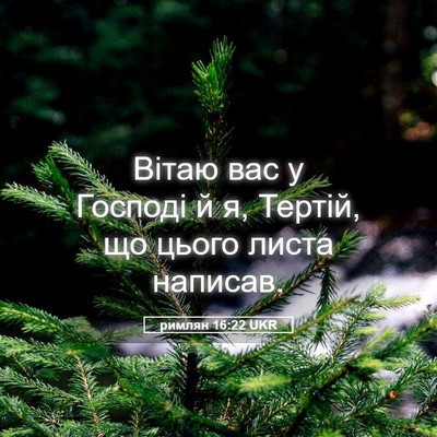 Picture 05 - римлян 16:22 UKR - Вітаю вас у Господі й я, - Bible Verse Picture
