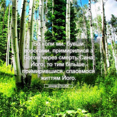 Picture 05 - римлян 5:10 UKR - Бо коли ми, бувши ворогами, - Bible Verse Picture