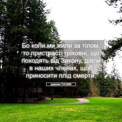 Picture 05 - римлян 7:5 UKR - Бо коли ми жили за тілом, то - Bible Verse Picture