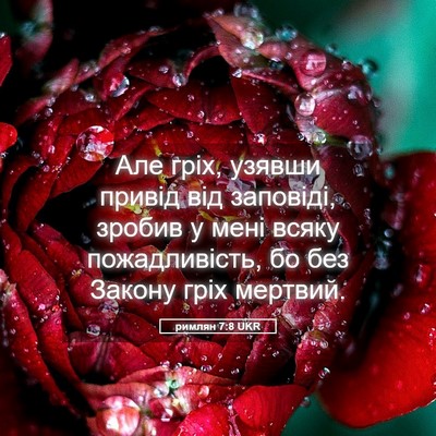 Picture 05 - римлян 7:8 UKR - Але гріх, узявши привід від - Bible Verse Picture
