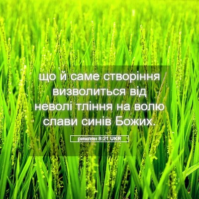 Picture 05 - римлян 8:21 UKR - що й саме створіння - Bible Verse Picture
