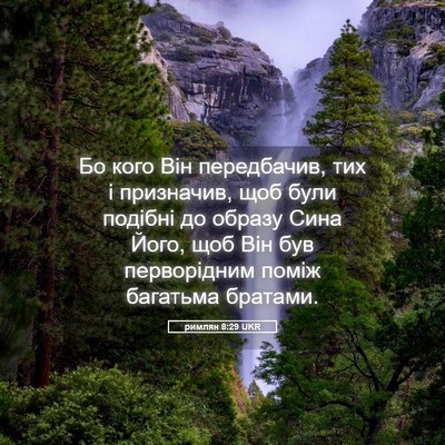 Picture 05 - римлян 8:29 UKR - Бо кого Він передбачив, тих - Bible Verse Picture
