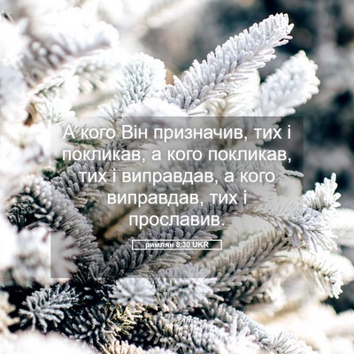 Picture 05 - римлян 8:30 UKR - А кого Він призначив, тих і - Bible Verse Picture