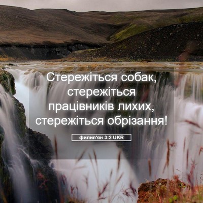 Picture 05 - филип'ян 3:2 UKR - Стережіться собак, - Bible Verse Picture