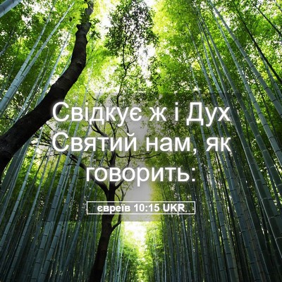 Picture 05 - євреїв 10:15 UKR - Свідкує ж і Дух Святий нам, - Bible Verse Picture