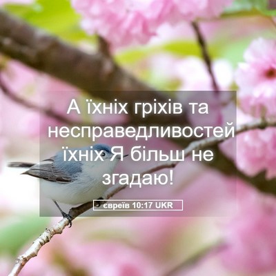 Picture 05 - євреїв 10:17 UKR - А їхніх гріхів та - Bible Verse Picture