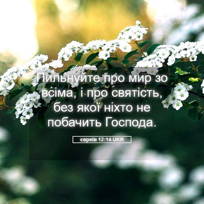 Picture 05 - євреїв 12:14 UKR - Пильнуйте про мир зо всіма, - Bible Verse Picture