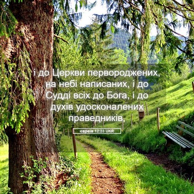 Picture 05 - євреїв 12:23 UKR - і до Церкви первороджених, - Bible Verse Picture