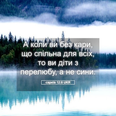Picture 05 - євреїв 12:8 UKR - А коли ви без кари, що - Bible Verse Picture