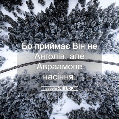 Picture 05 - євреїв 2:16 UKR - Бо приймає Він не Анголів, - Bible Verse Picture