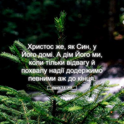 Picture 05 - євреїв 3:6 UKR - Христос же, як Син, у Його - Bible Verse Picture
