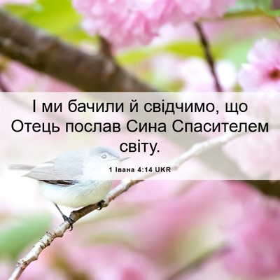 Picture 06 - 1 Івана 4:14 UKR - І ми бачили й свідчимо, що - Bible Verse Picture