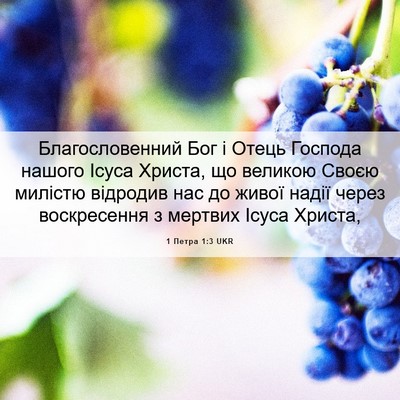 Picture 06 - 1 Петра 1:3 UKR - Благословенний Бог і Отець - Bible Verse Picture