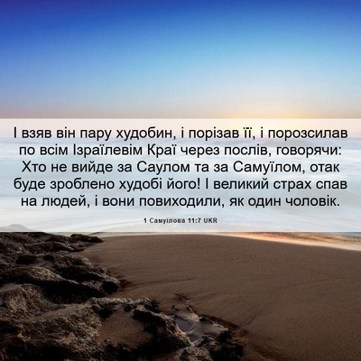 Picture 06 - 1 Самуїлова 11:7 UKR - І взяв він пару худобин, і - Bible Verse Picture