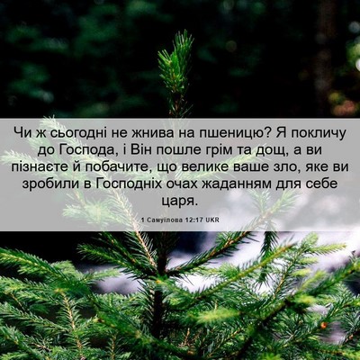 Picture 06 - 1 Самуїлова 12:17 UKR - Чи ж сьогодні не жнива на - Bible Verse Picture