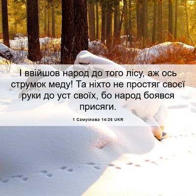 Picture 06 - 1 Самуїлова 14:26 UKR - І ввійшов народ до того - Bible Verse Picture